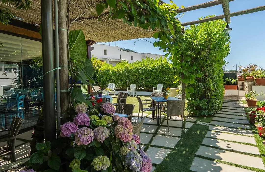 Capri Dreaming-1