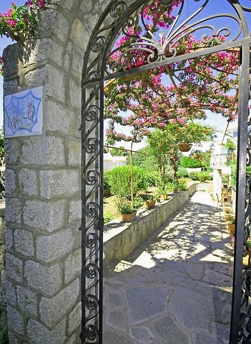 Cavalluccio Marino-1