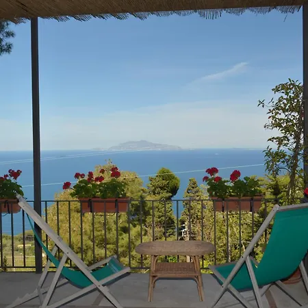 Le Ginestre di Capri BB&Holiday House-3