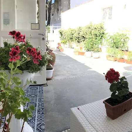 Villa Pollio Guest House-2